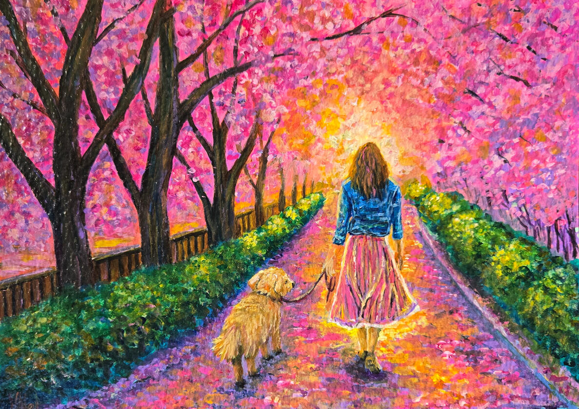 Where Light Remembers Where Light Remembers
